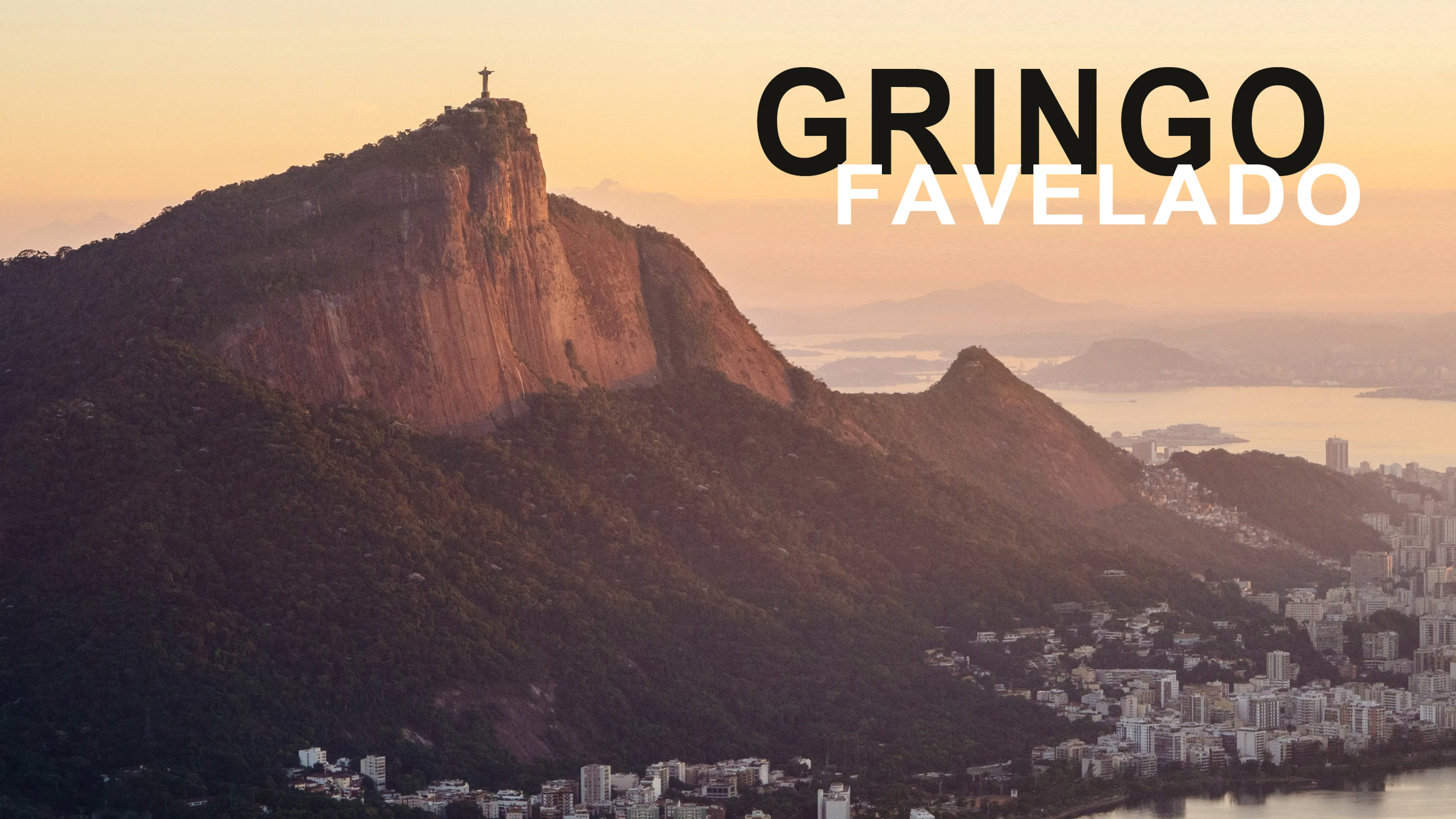 Gringo Favelado poster